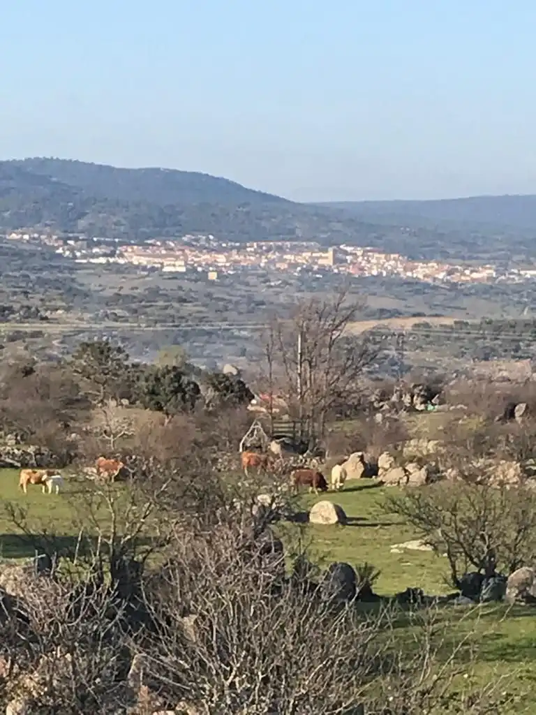 Terreni e lotti in vendita a El Tiemblo, imagen 6
