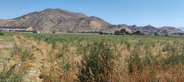 Terreno en Venta en Fuente Vaqueros