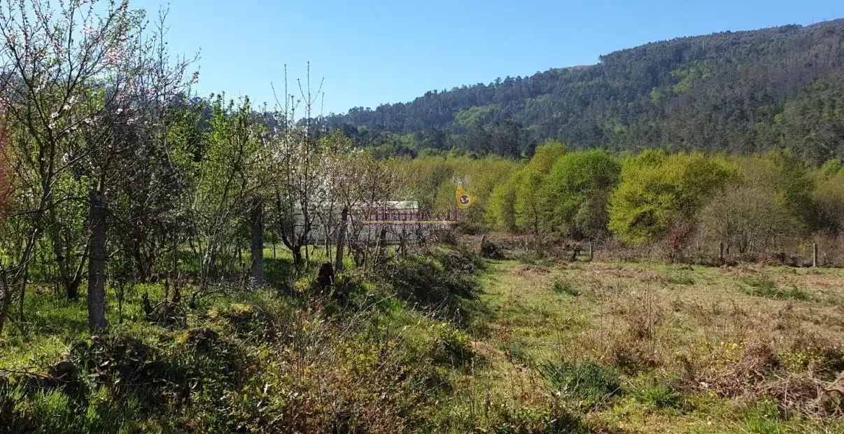 Lands and plots for sale in Mondariz, imagen 11