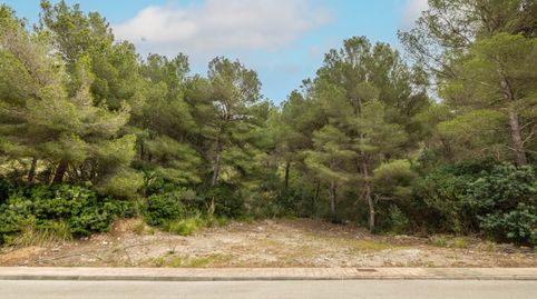 Impresionante parcela cerca de la playa en venta en Canyamel, Mallorca Este, imatge 2