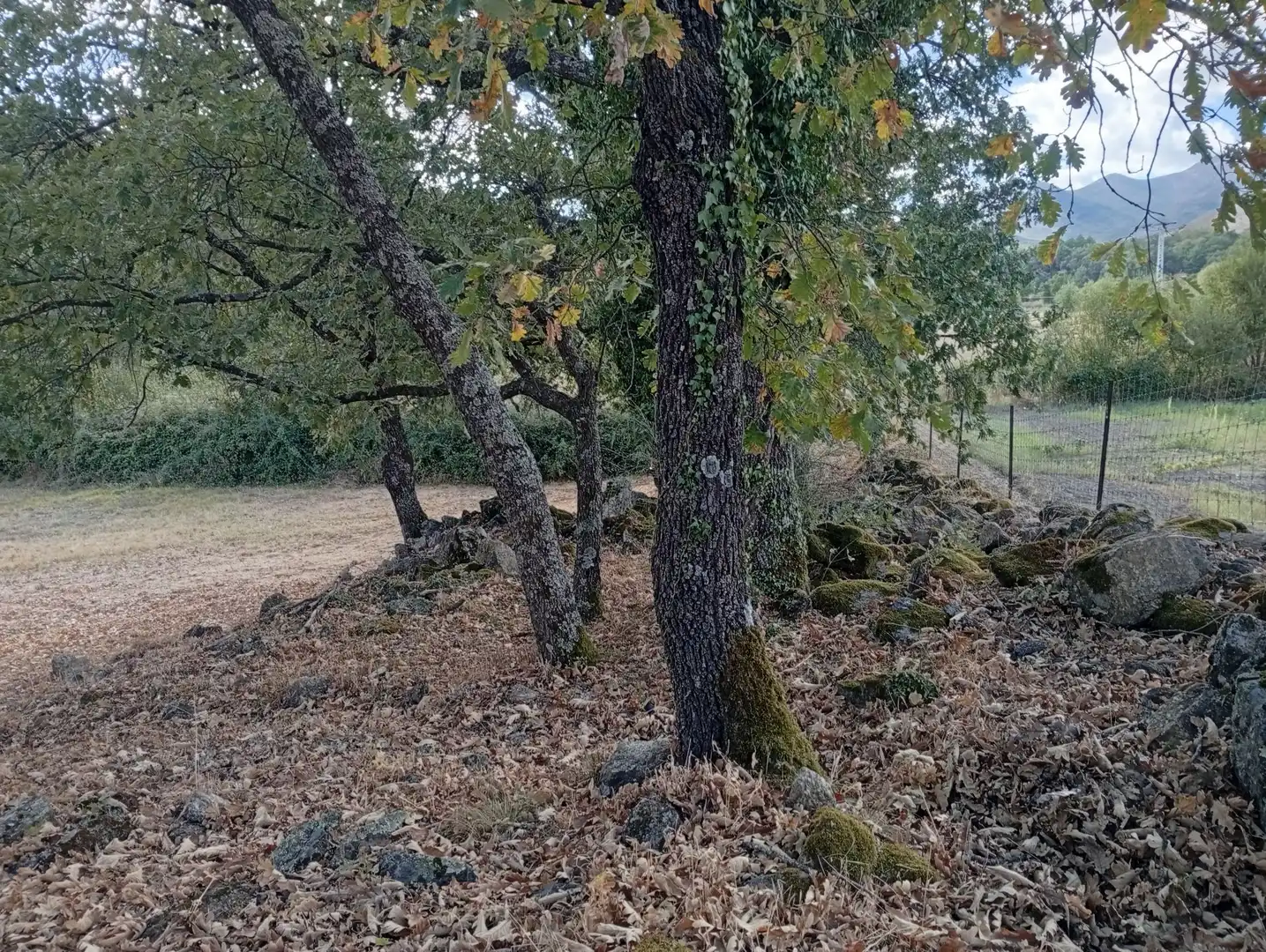 Terreni e lotti in vendita a Villanueva de la Vera, imagen 102