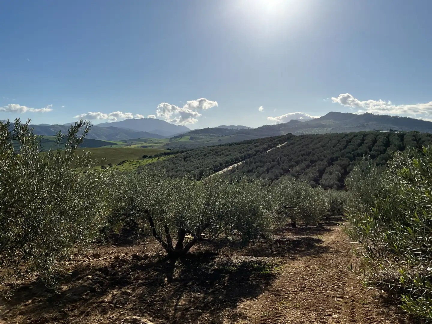 Terreno en venta en Alozaina