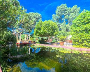 Jardí de Casa o xalet en venda en San Vicente del Raspeig / Sant Vicent del Raspeig amb Calefacció, Jardí privat i Terrassa