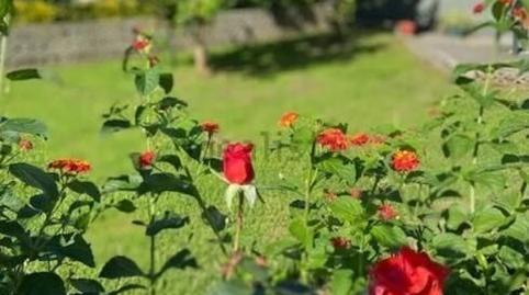 Foto 5 de Casa o xalet en venda a Barcenilla, Cantabria