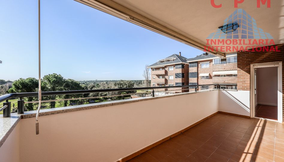 Piso de alquiler en Golf - El Carralero - Imagen 2