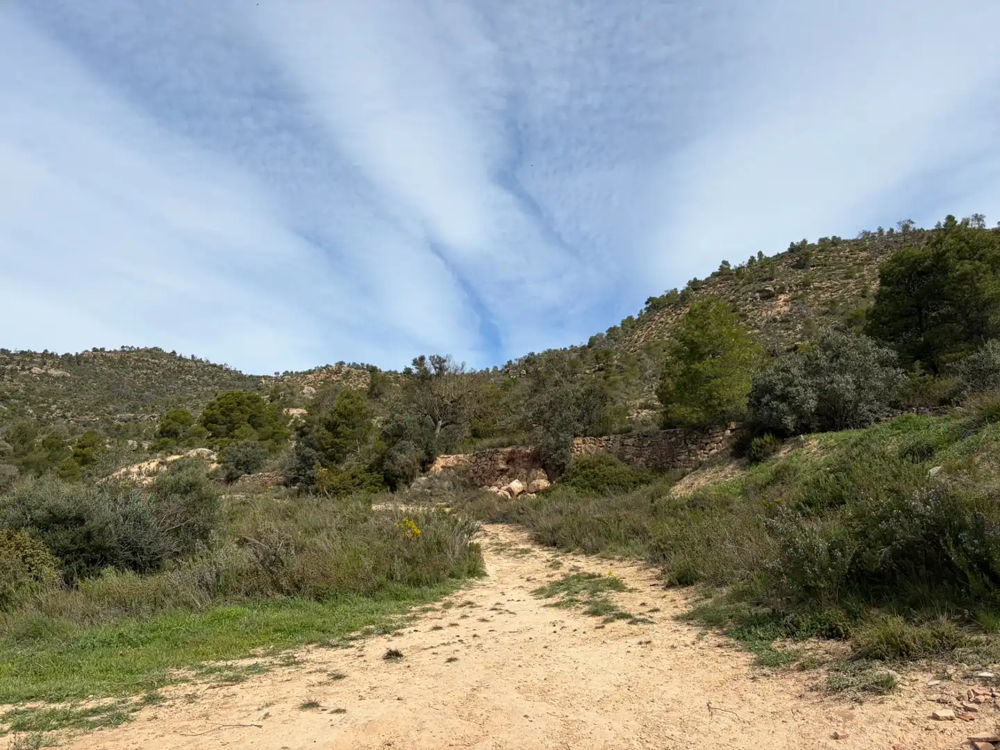 Finca rústica en venta en Flix