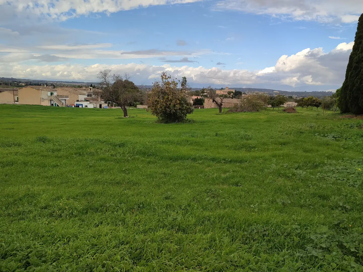 Terreno residenziale in vendita a Montuïri, imagen 6