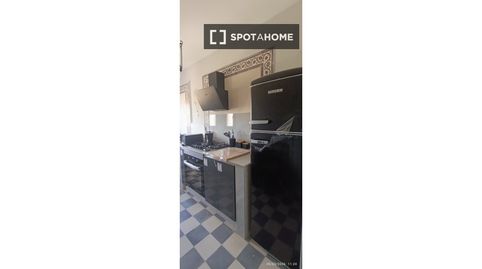 Photo 5 of Room in Puertosol, Málaga Capital