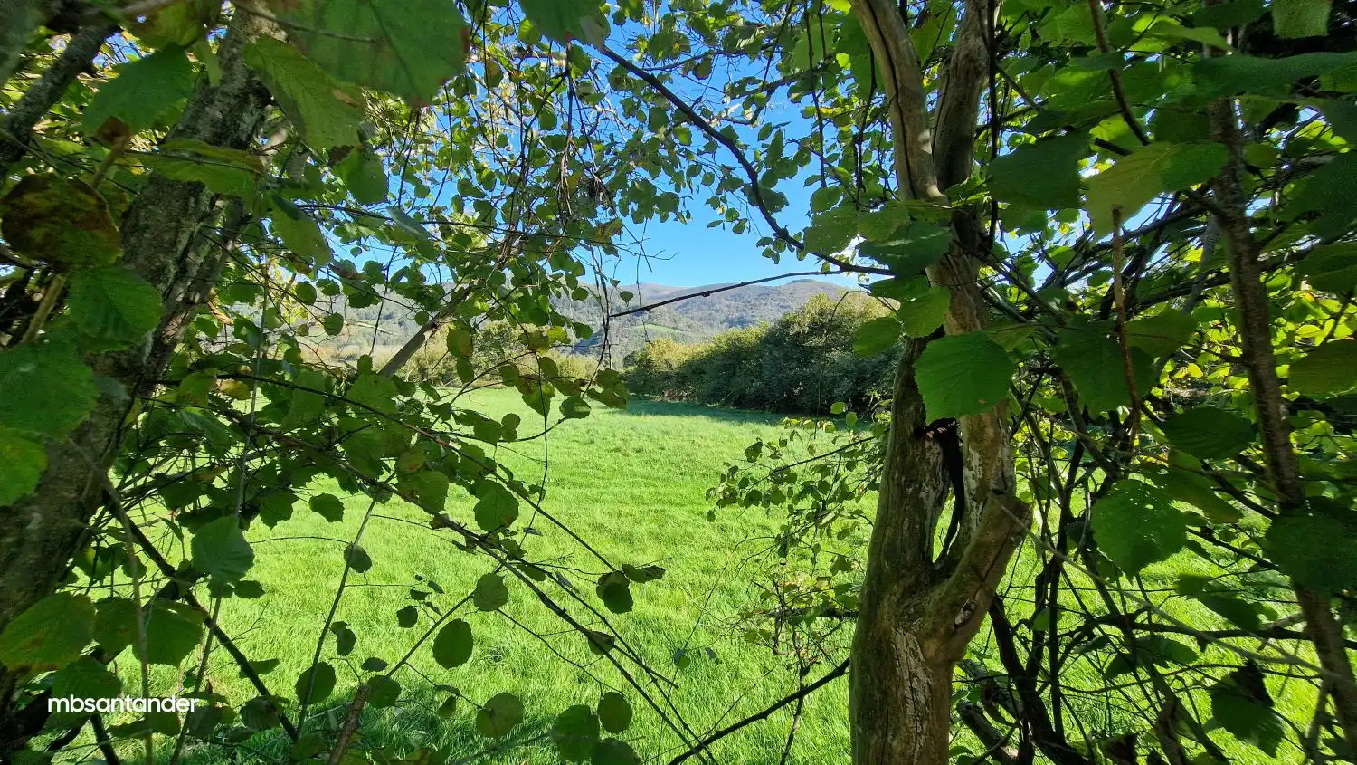 Finca rústica en venta en Molledo