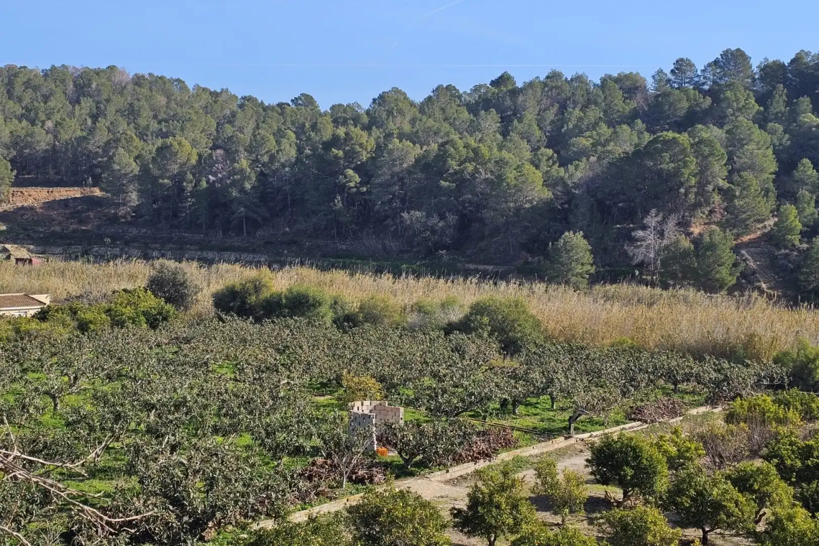 Casa en venda a Callosa d'en Sarrià, imagen 29