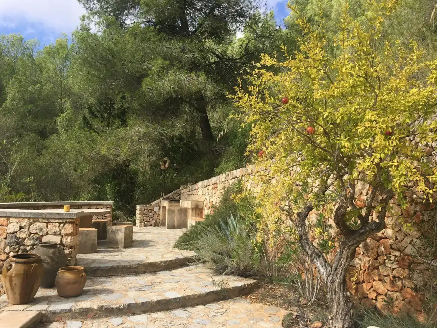 Terrace of Country homes for rent in Manacor  with Swimming Pool