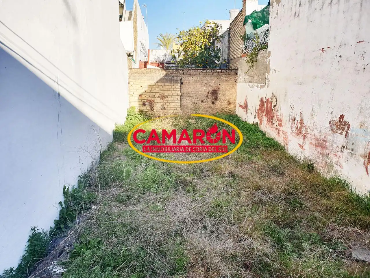 Lands and plots for sale in Coria del Río, imagen 2