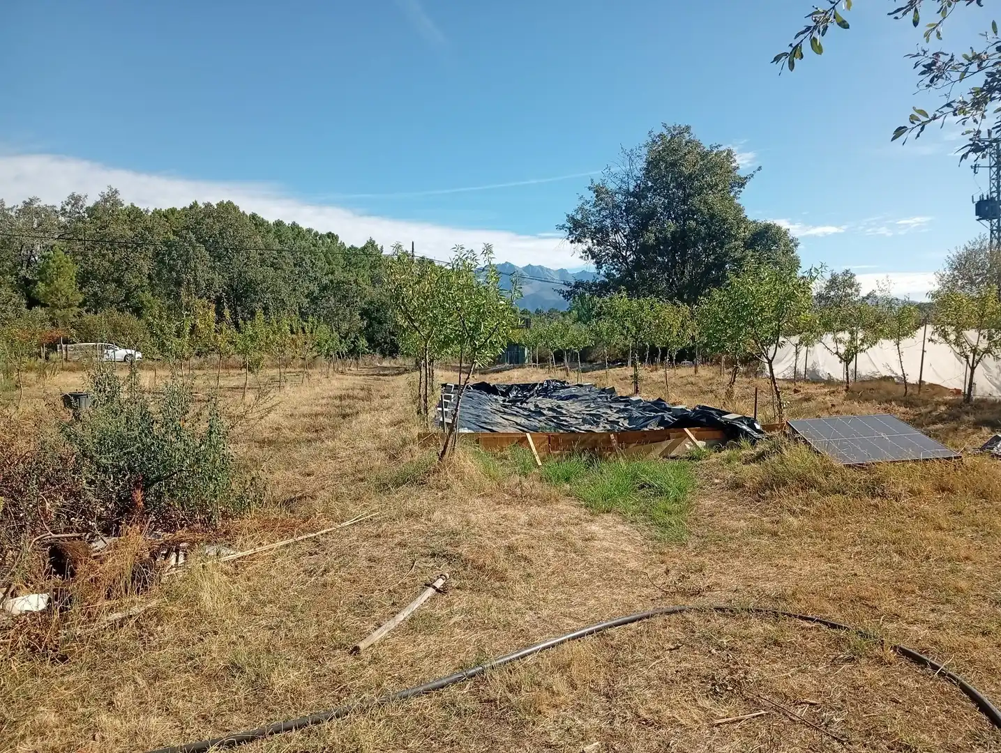 Terrain rustique à vendre à Villanueva de la Vera, imagen 24