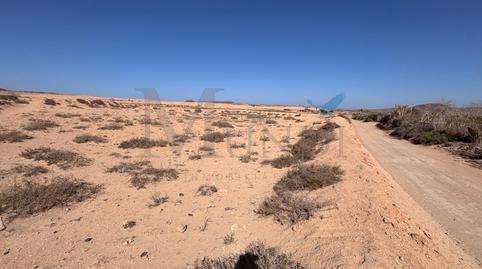 Photo 4 of Land for sale in  Polígono 6 Parcela 227 Rosa Vieja. la Oliva (las , Vejer, Cádiz