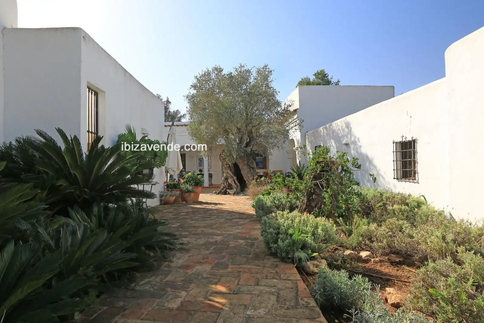 Casa o xalet en venda a Cala Llonga, Santa Eulària