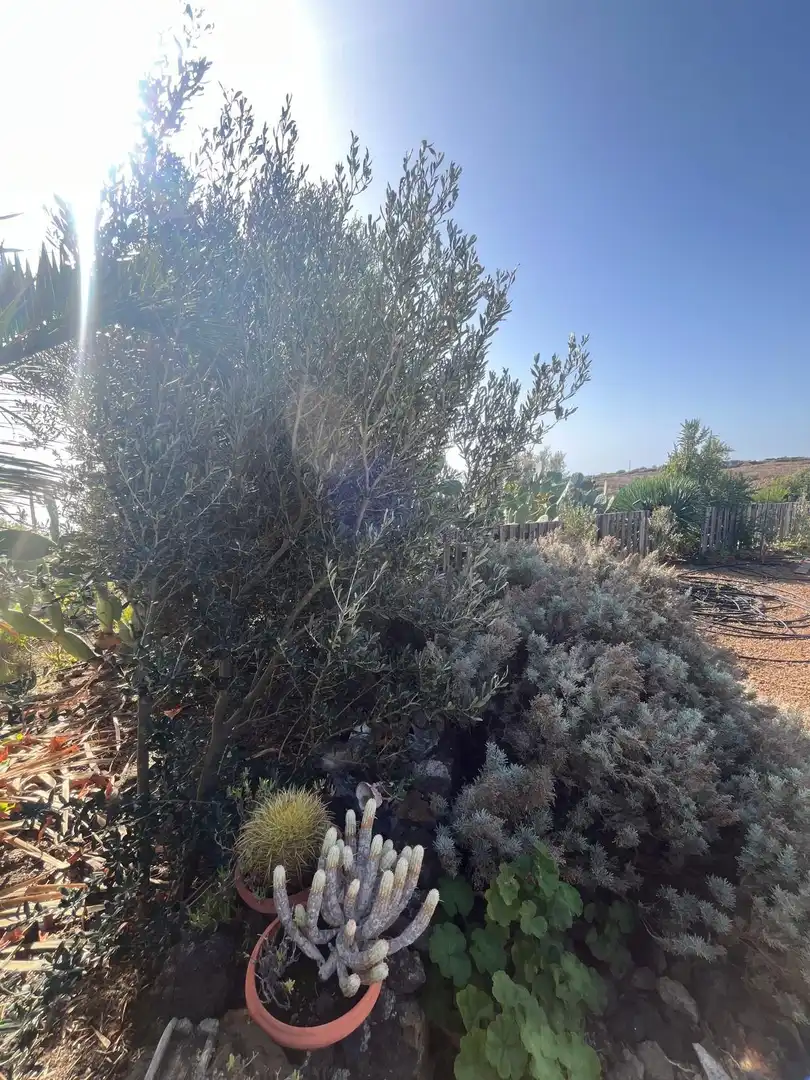 Residencial en venta en El Pinar de El Hierro