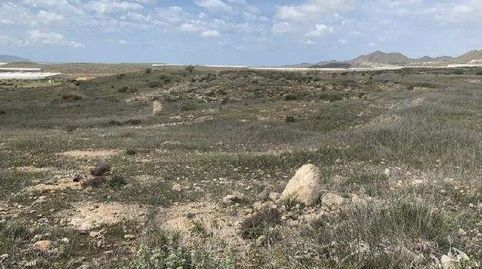 Foto 4 de Terreno en venta en 185, Los Gimenez, Pozo de los Frailes - Presillas - Albaricoques, Níjar