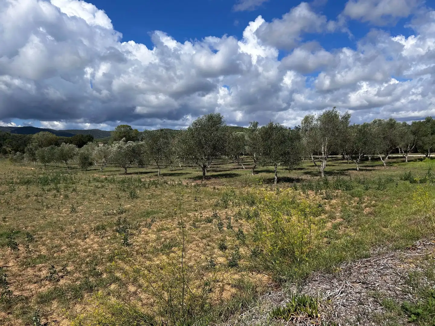 Finca rústica en venta en Palamós con Jardín privado