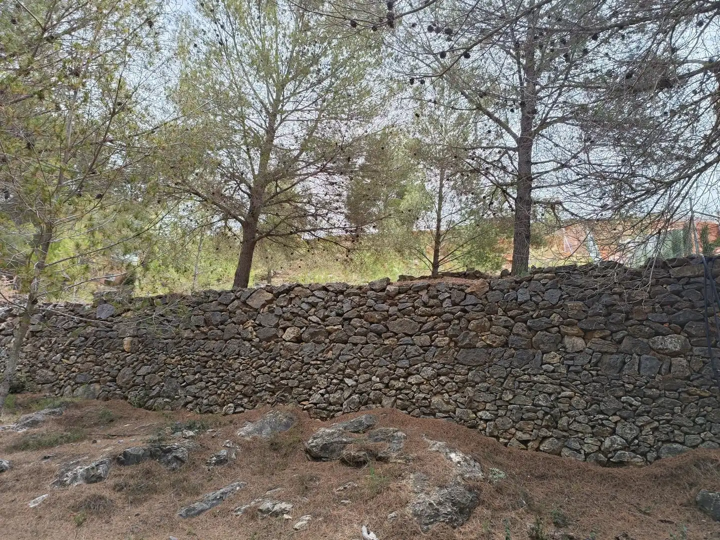 Lands and plots for sale in Borriol, imagen 15
