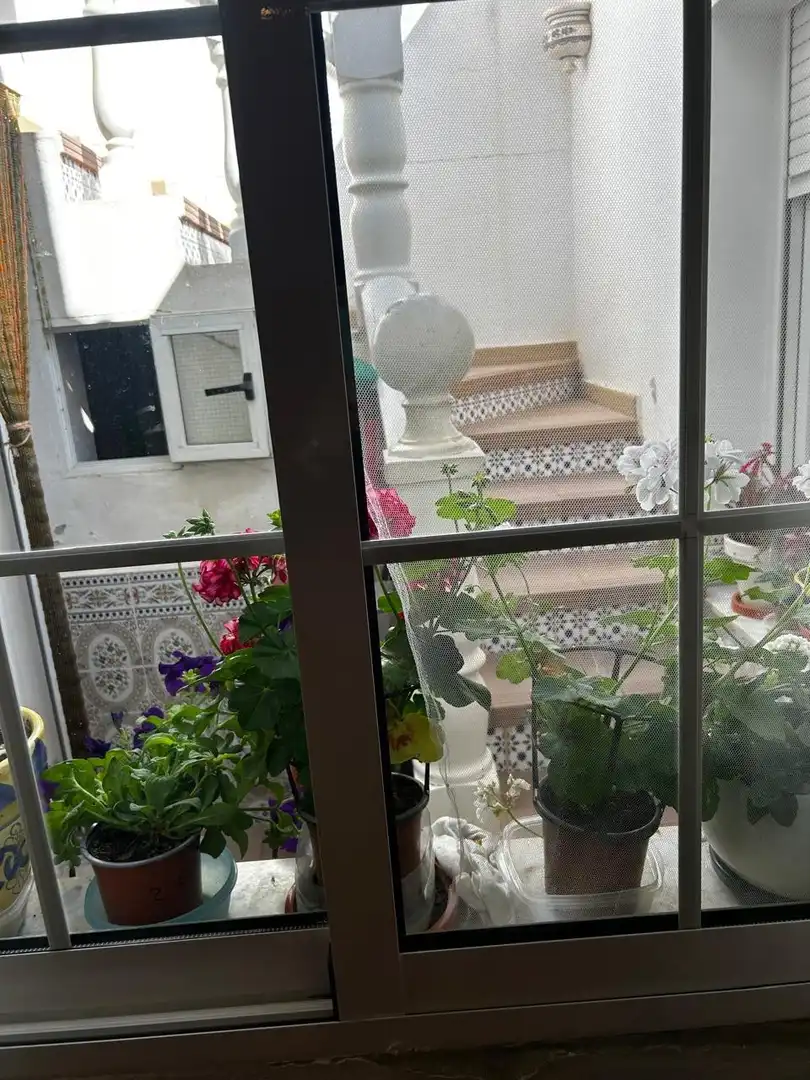 Balcony of Houses for sale in San Miguel de Salinas  with Air Conditioner, Terrace and Storage room
