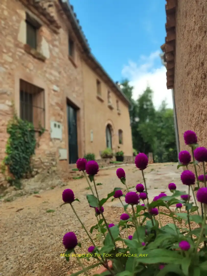 Casa rustica in vendita a Diseminado Cal Tinot 1, imagen 4