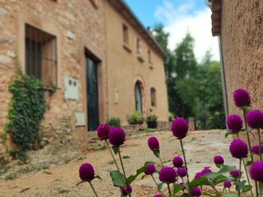 Maison rustique à vendre à Diseminado Cal Tinot 1