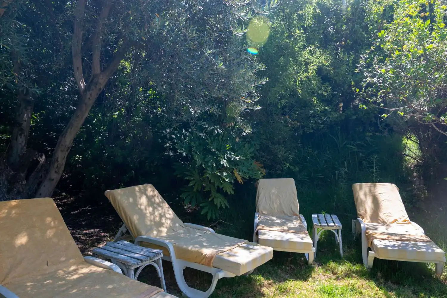 Jardí de Finca rústica en venda en Lecrín amb Piscina