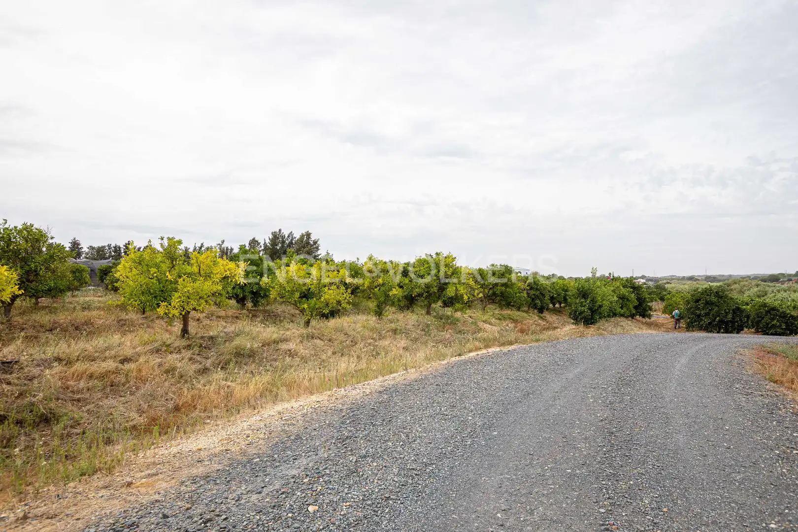 Casa o chalet en venta en Cartaya con Calefacción, Jardín privado y Terraza