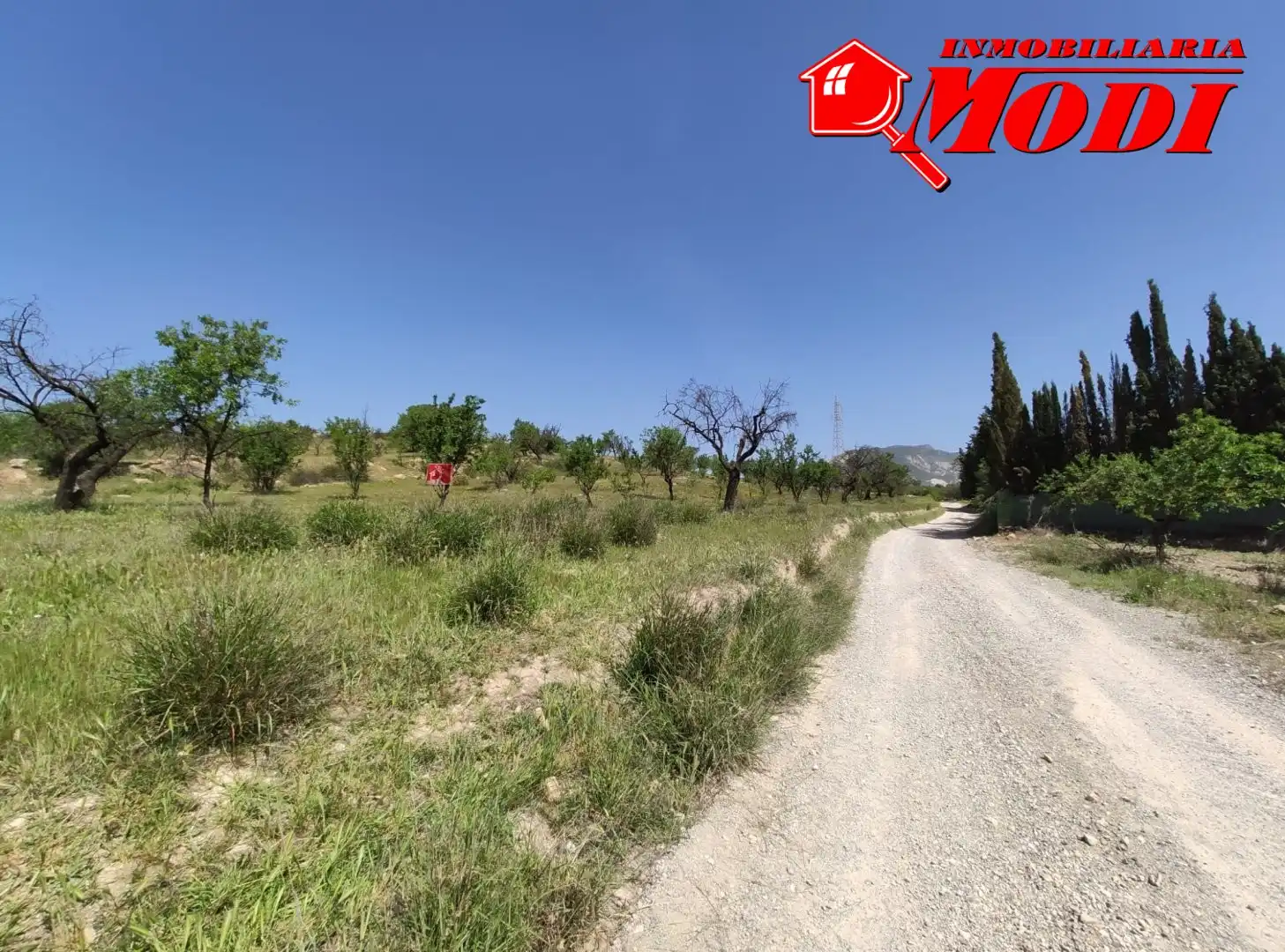 Lands and plots for sale in Villamena