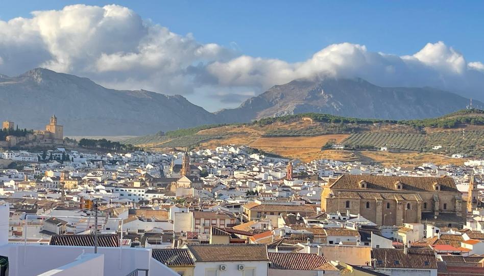 Photo 1 of House or chalet for sale in Zona de la Vega, Málaga