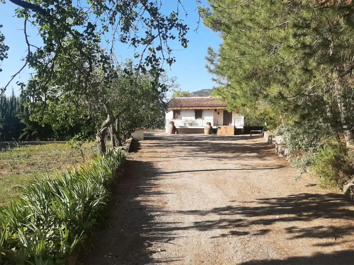 Vista exterior de Casa o xalet en venda en Quesada amb Jardí privat, Piscina i Moblat