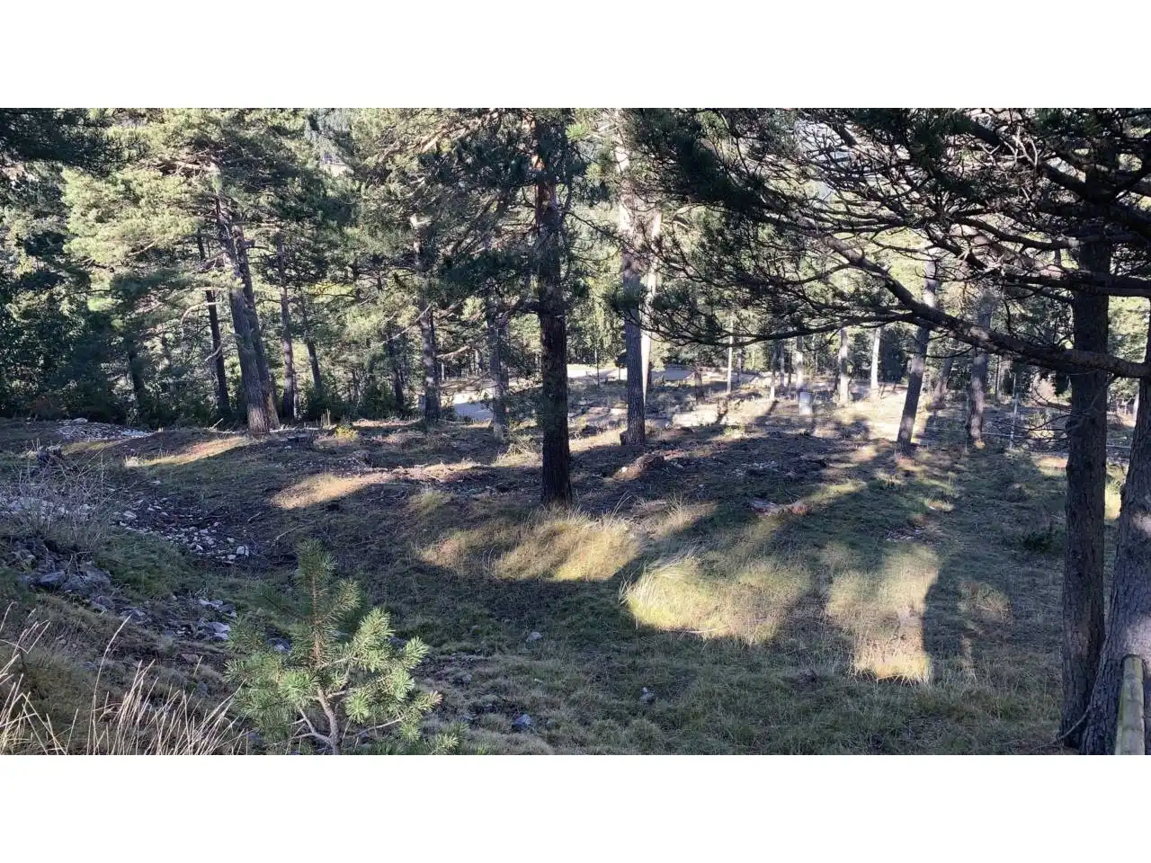 Rustikales Grundstück zum Verkauf in Callejon de Coll de Jou, imagen 3