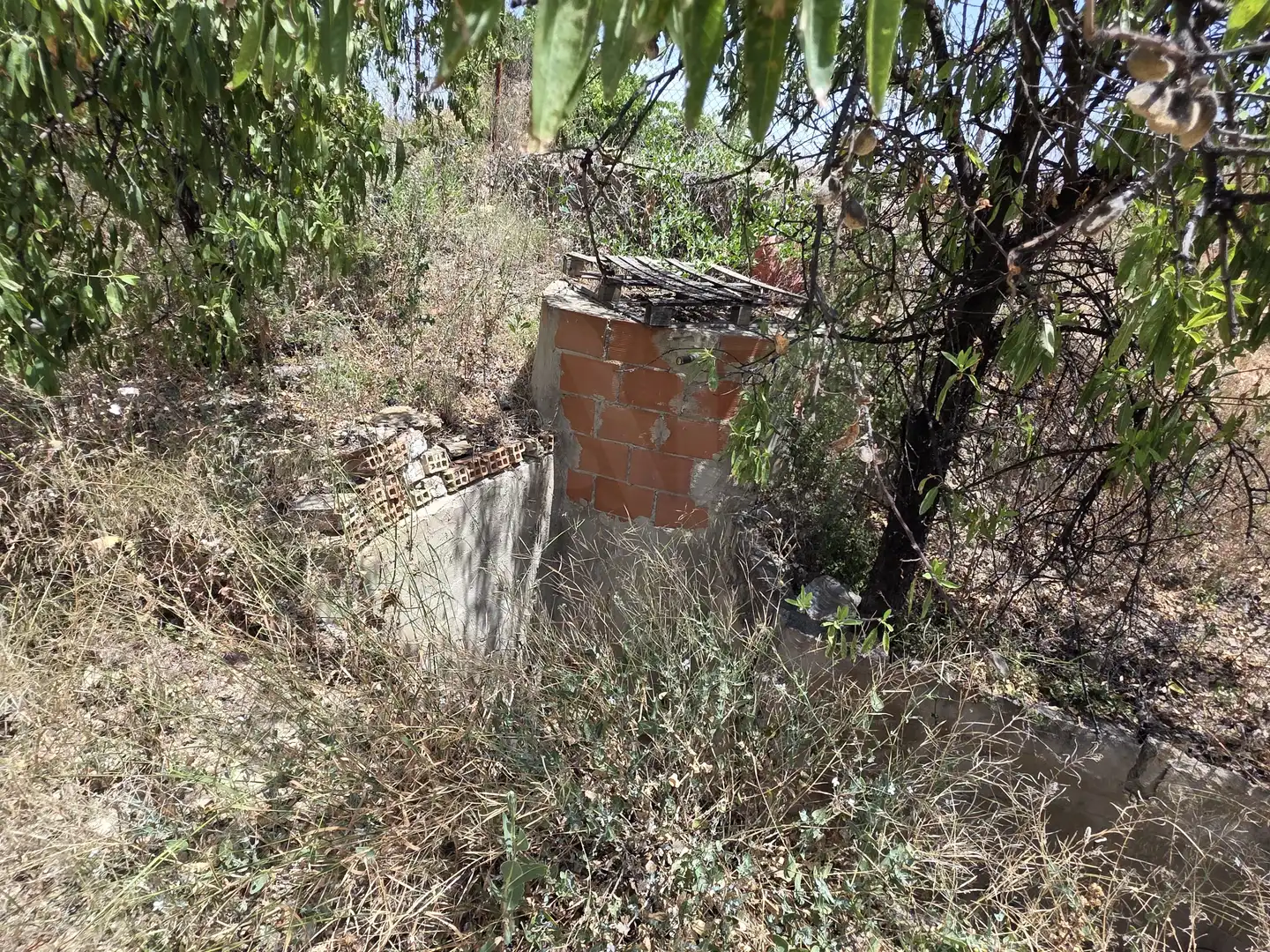 Residential land for sale in Calasparra, imagen 7