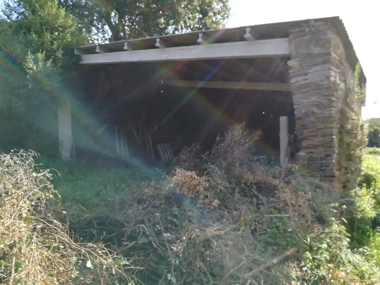 Garden of Country homes for sale in O Pino 