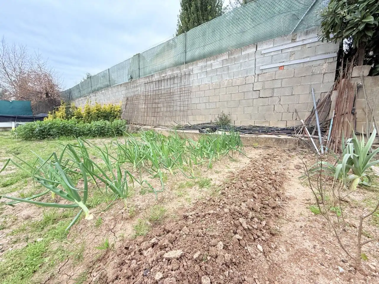 Casa con jardín en venta en Riells i Viabrea, imagen 6