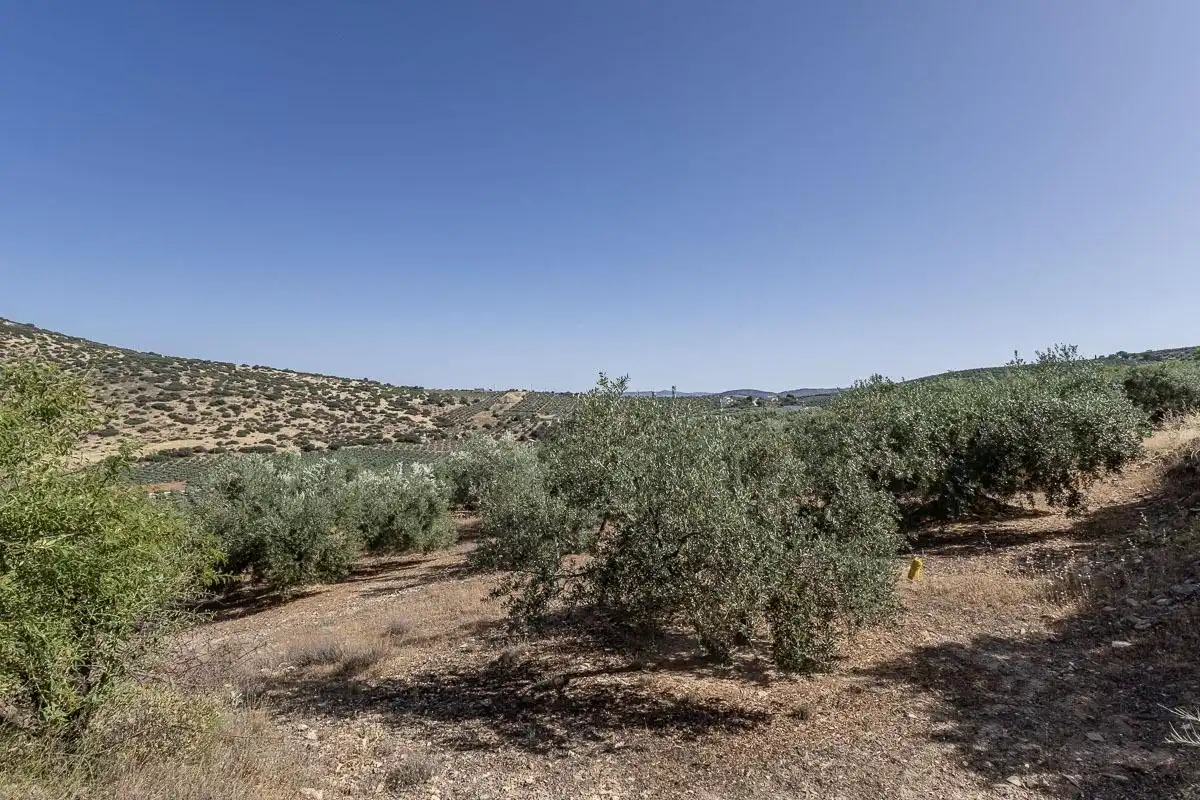 Terreno rustico in vendita a Montefrío, imagen 10