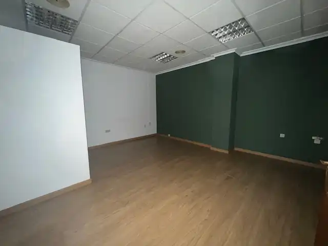 Gewerbefläche zur Miete in Paseo de San Gregorio 85, imagen 14