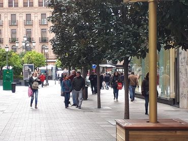 Local comercial en alquiler en Centro