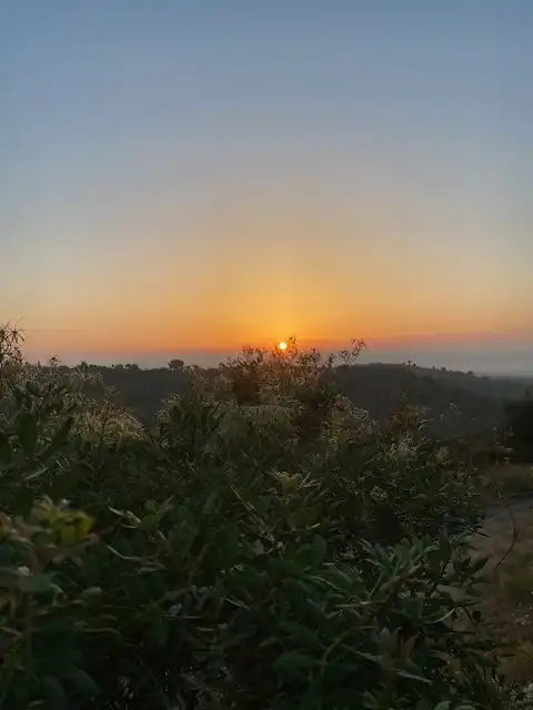 Jardí de Residencial en venda en Cervera del Maestre