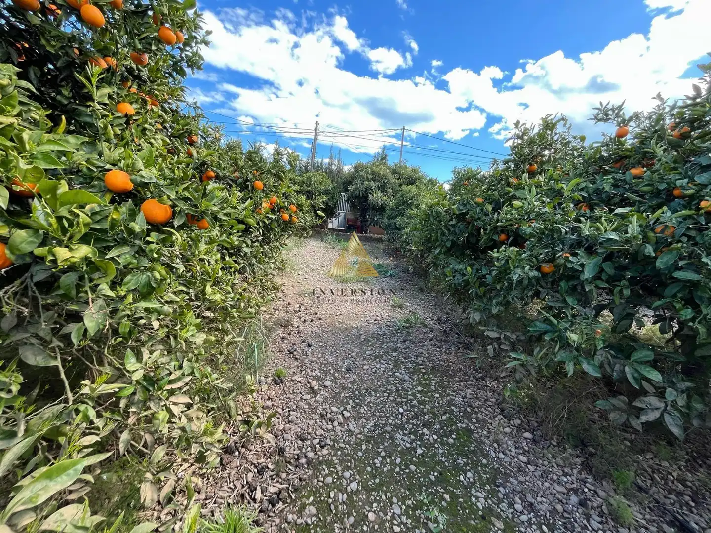 Terrenos y solares en venta en Pueblo, imagen 2
