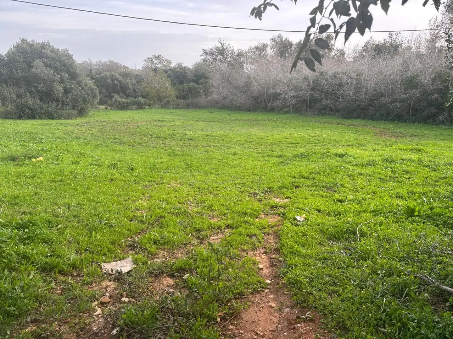 Terreno en venta en Vejer de la Frontera