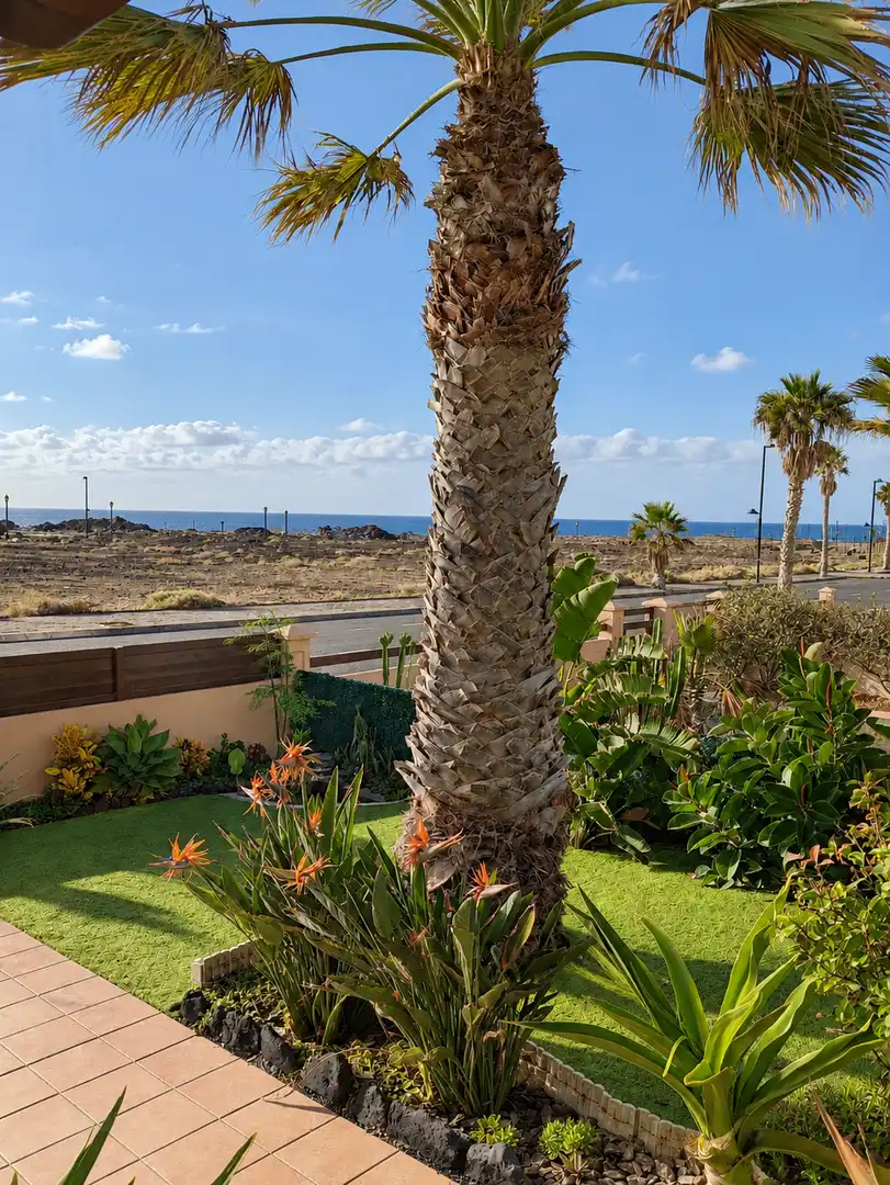 House with pool for sale in Majanicho, imagen 14