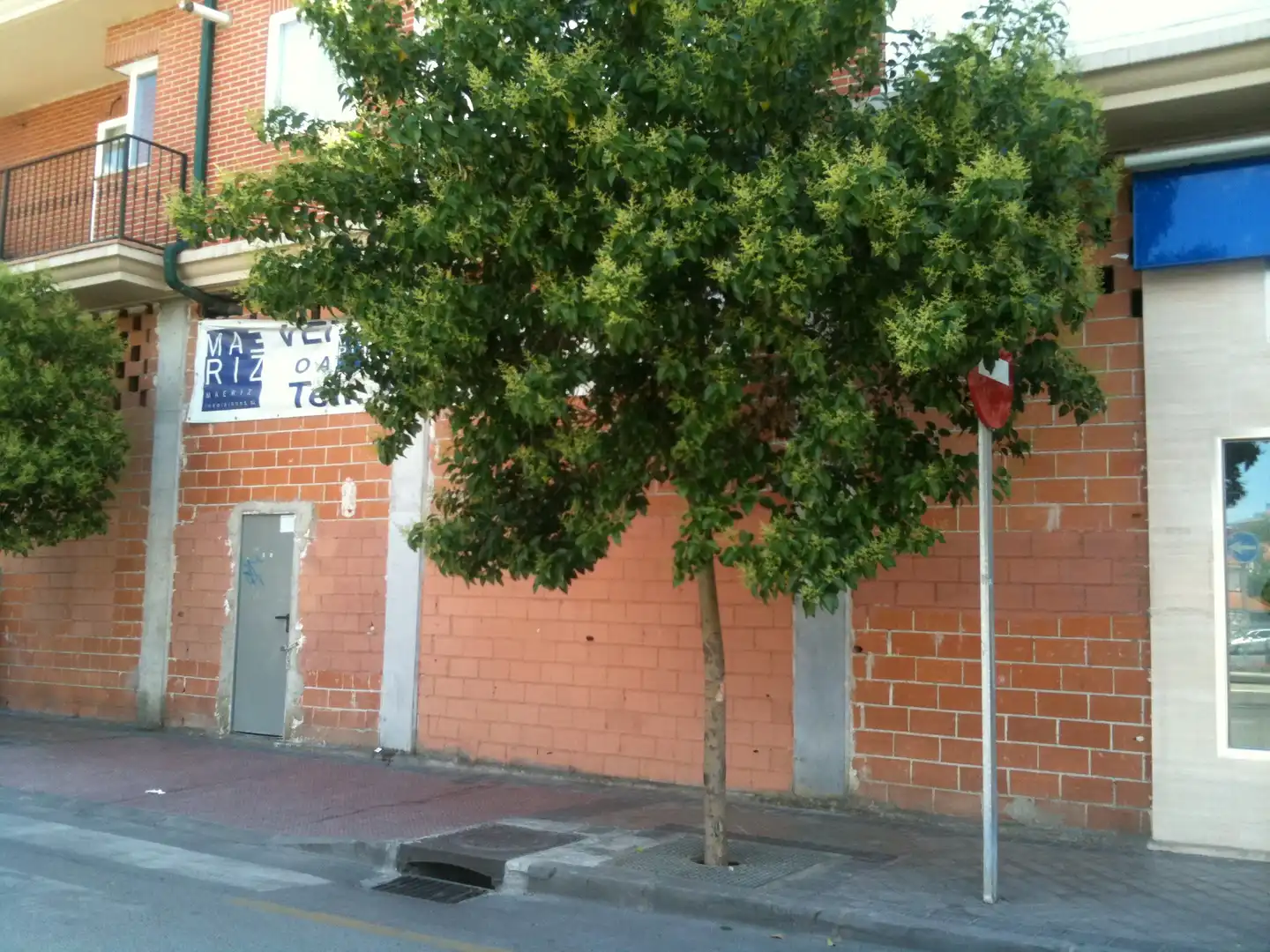 Gewerbefläche zur Miete in Avenida de la Constitución 184, imagen 2