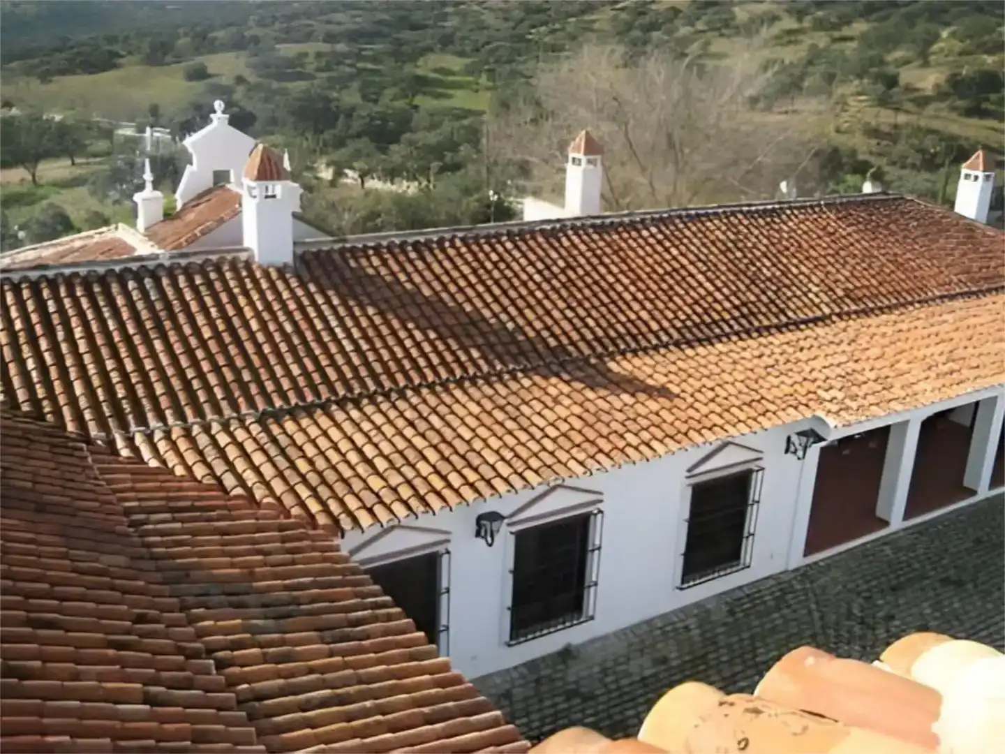 Exterior view of Land for sale in Hornachuelos