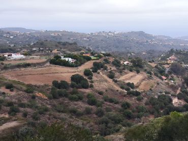 Terreno rustico in vendita a Lugar Pinar de Ojeda