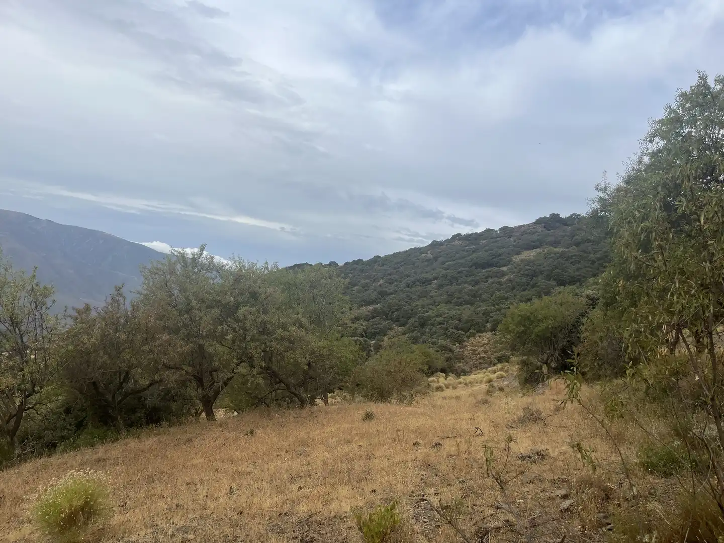 Terreno en venta en La Taha