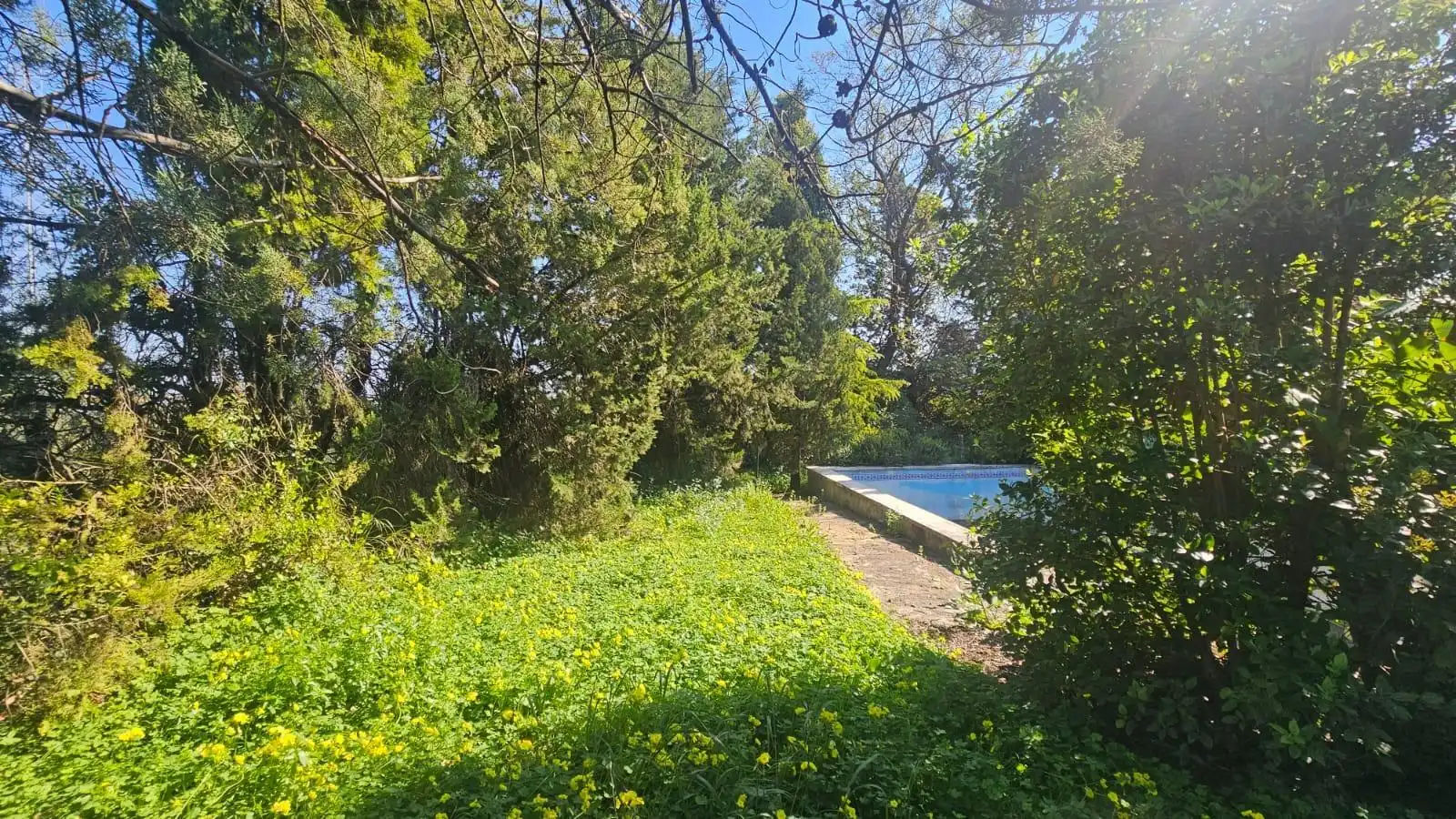 Villa à vendre à Bollullos de la Mitación, imagen 31