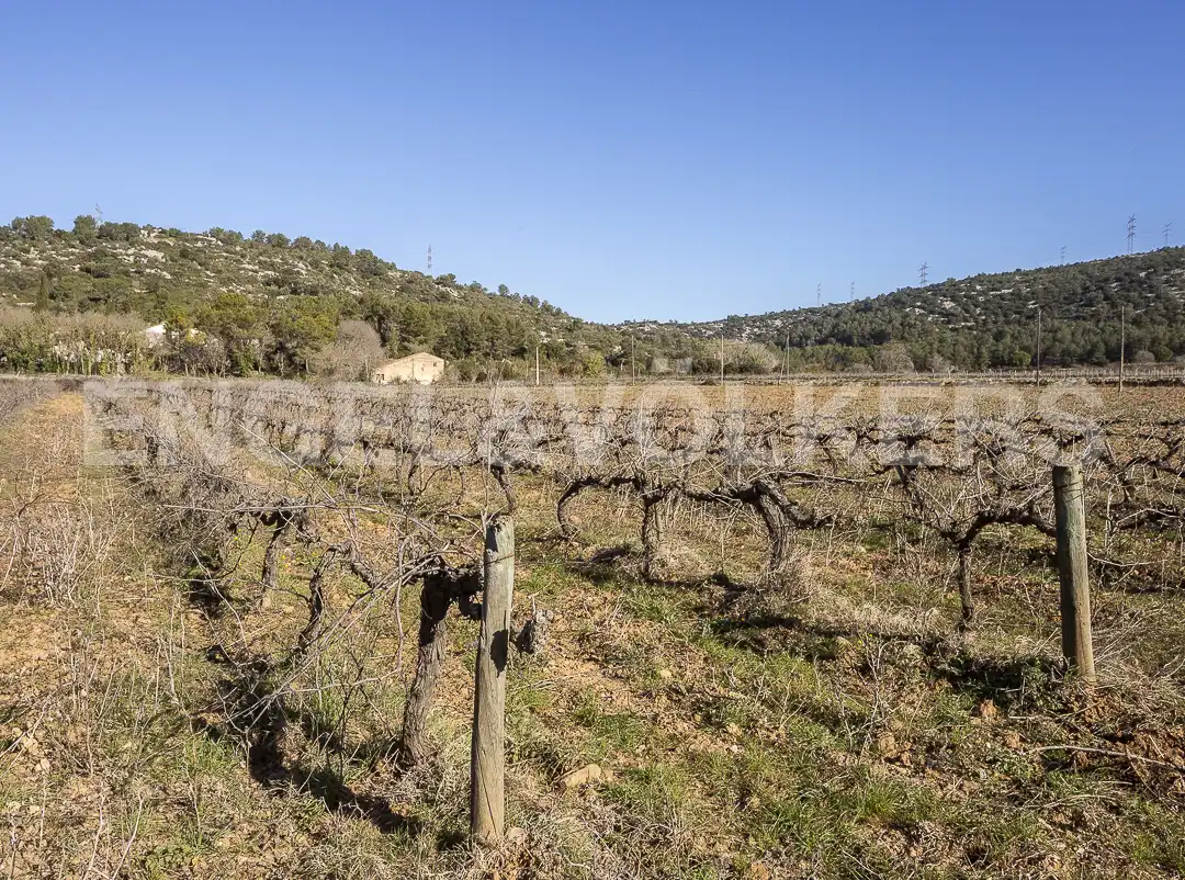 Wohnbaugrundstück zum Verkauf in Begues, imagen 13