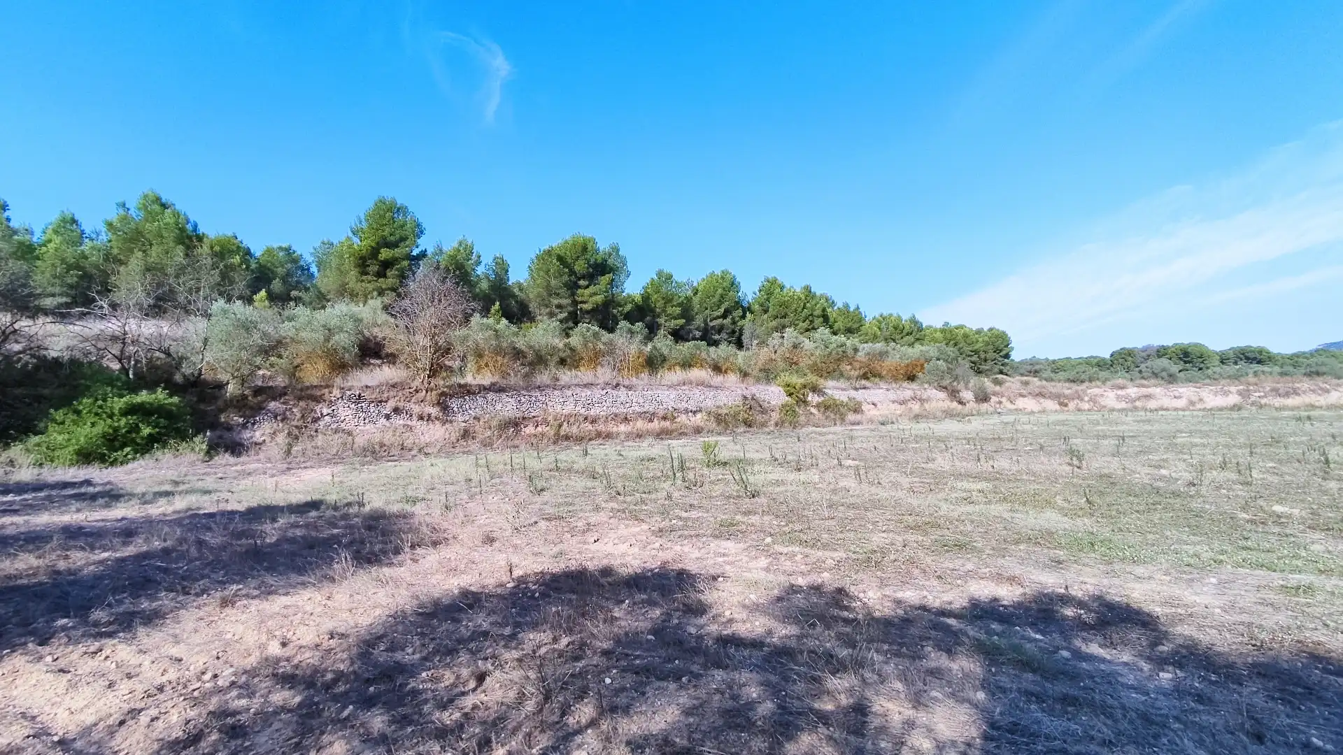 Terrain rustique à vendre à Avinguda de Pius XII 18B, imagen 6
