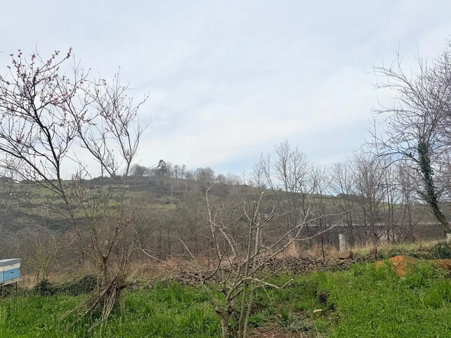 Casa o xalet en venda en Las Regueras  